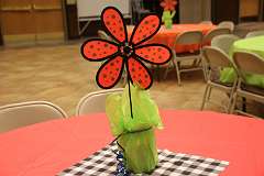 5: IMG_6885
